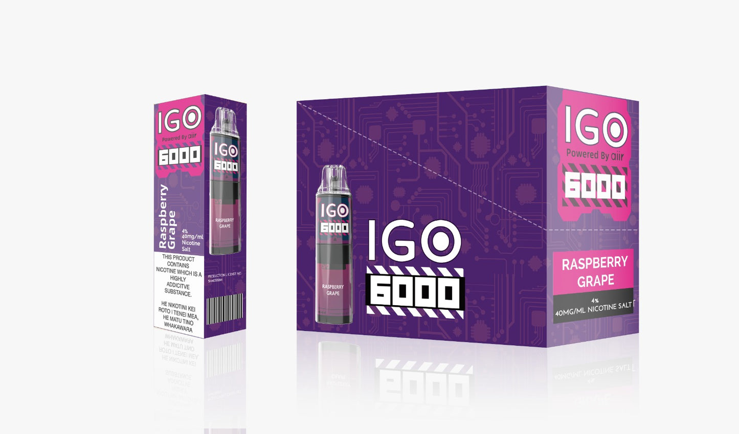 IGO 6000