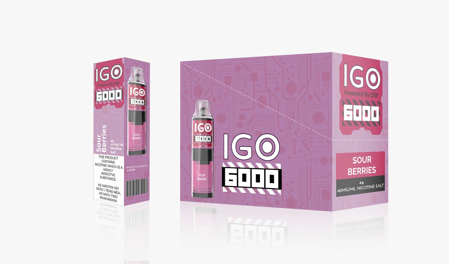 IGO 6000